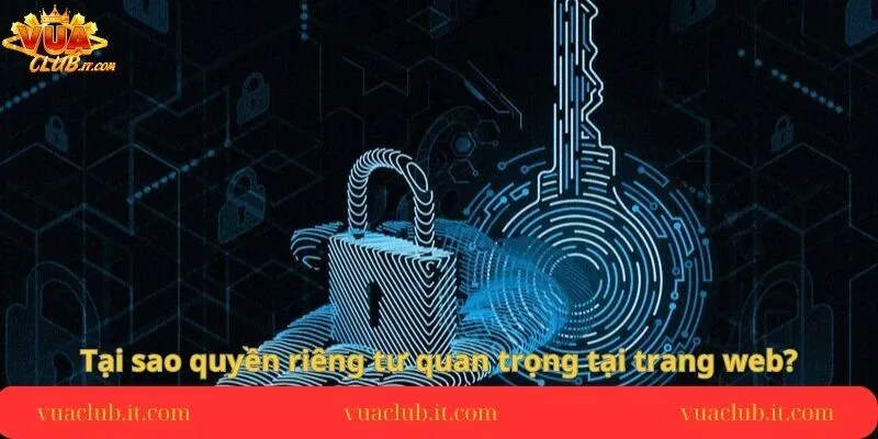 tai-sao-quyen-rieng-tu-quan-trong-tai-trang-web