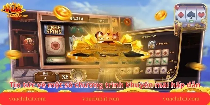 gioi-thieu-ve-tin-tuc-nha-cai-vuaclub