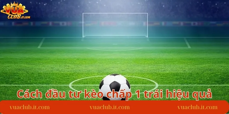 cach-dau-tu-keo-chap-1-trai-hieu-qua-tu-chuyen-gia